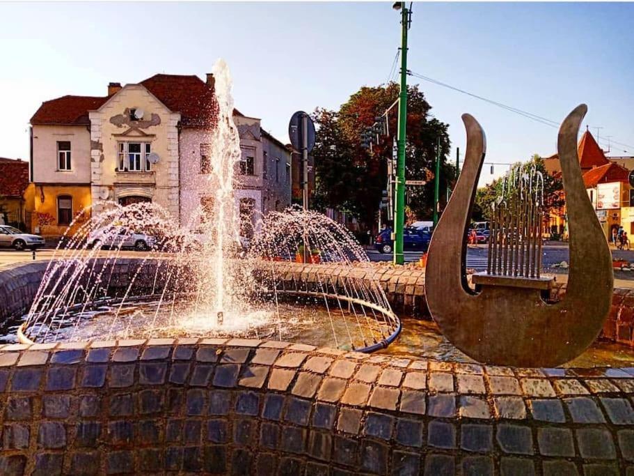 Central 2 Bedrooms Apartment Braszów Zewnętrze zdjęcie